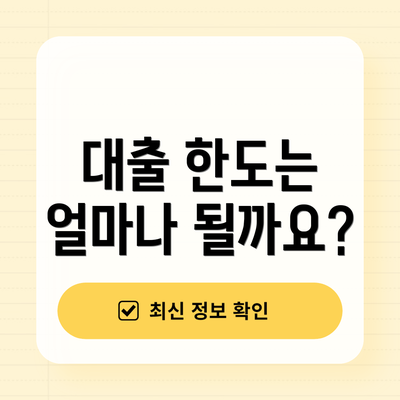 대출 한도는 얼마나 될까요?