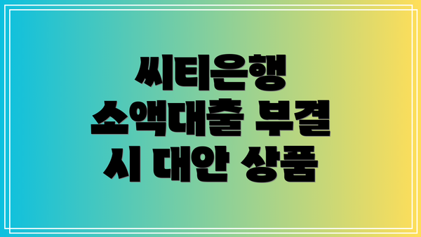 씨티은행 소액대출 부결 시 대안 상품