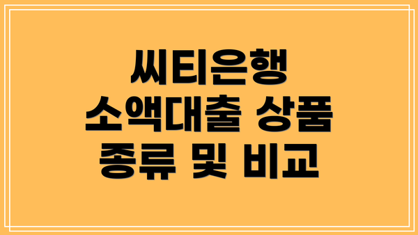 씨티은행 소액대출 상품 종류 및 비교