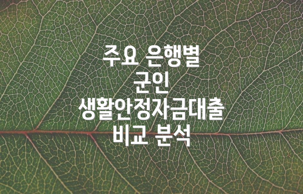주요 은행별 군인 생활안정자금대출 비교 분석