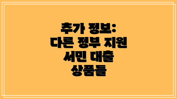 추가 정보: 다른 정부 지원 서민 대출 상품들