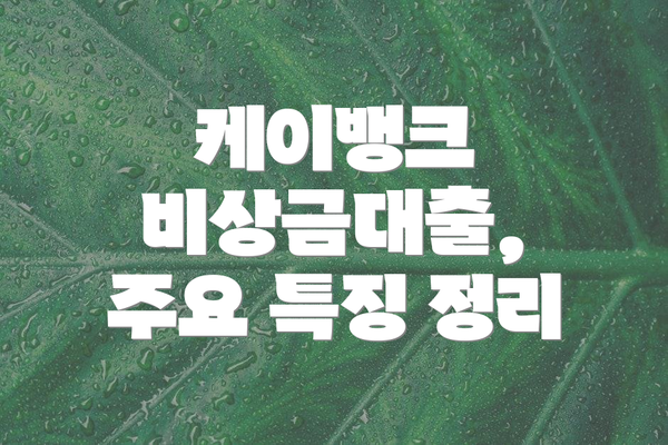 케이뱅크 비상금대출, 주요 특징 정리
