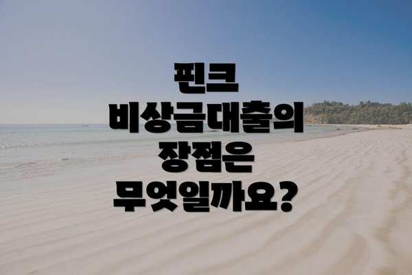 핀크 비상금대출의 장점은 무엇일까요?
