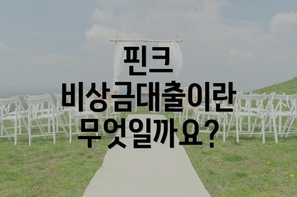 핀크 비상금대출이란 무엇일까요?