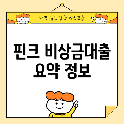 핀크 비상금대출 요약 정보