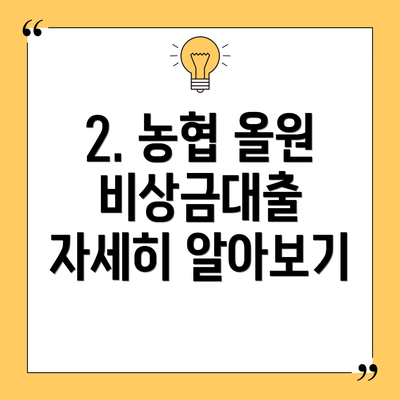 2. 농협 올원 비상금대출 자세히 알아보기