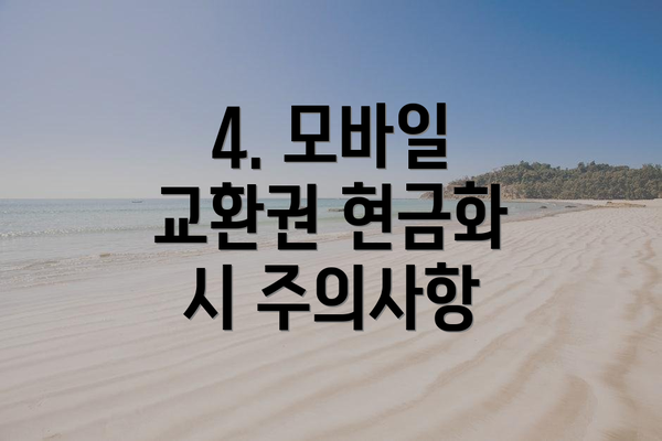 4. 모바일 교환권 현금화 시 주의사항