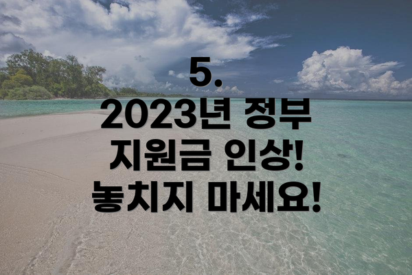 5.  2023년 정부 지원금 인상! 놓치지 마세요!