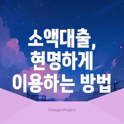 소액대출, 현명하게 이용하는 방법