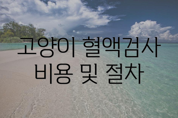 고양이 혈액검사 비용 및 절차
