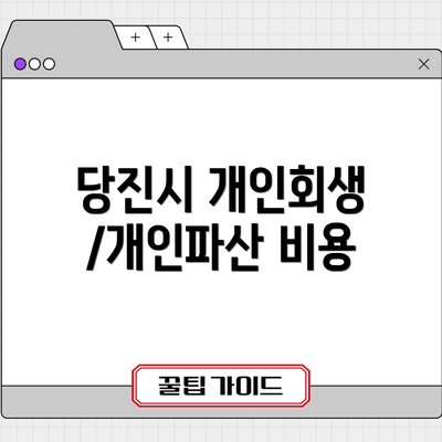 당진시 개인회생/개인파산 비용