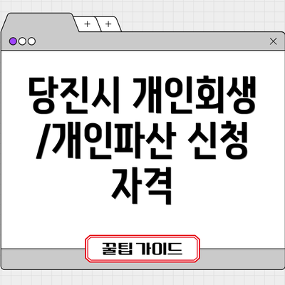당진시 개인회생/개인파산 신청 자격