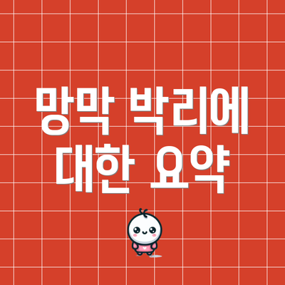 망막 박리에 대한 요약