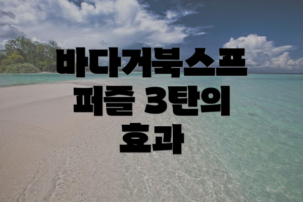 바다거북스프 퍼즐 3탄의 효과