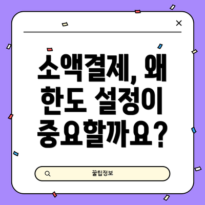 소액결제, 왜 한도 설정이 중요할까요?