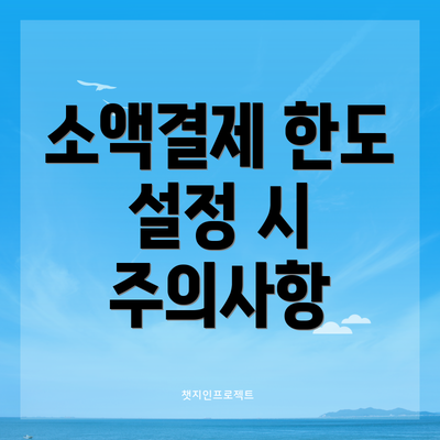 소액결제 한도 설정 시 주의사항