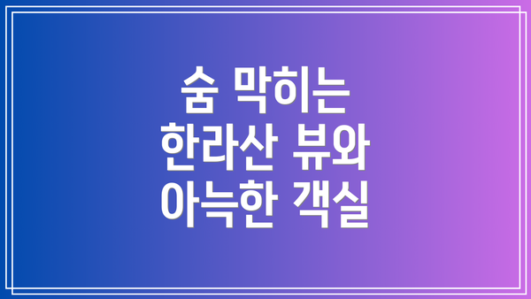 숨 막히는 한라산 뷰와 아늑한 객실