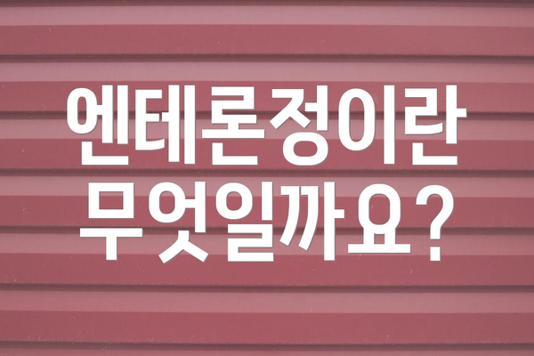 엔테론정이란 무엇일까요?