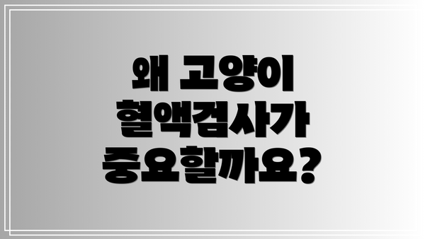 왜 고양이 혈액검사가 중요할까요?