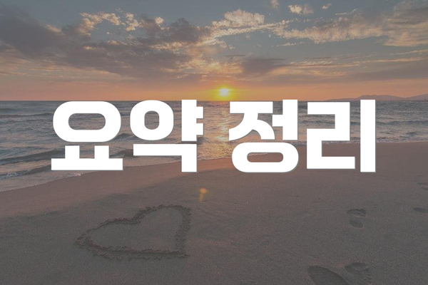 요약 정리