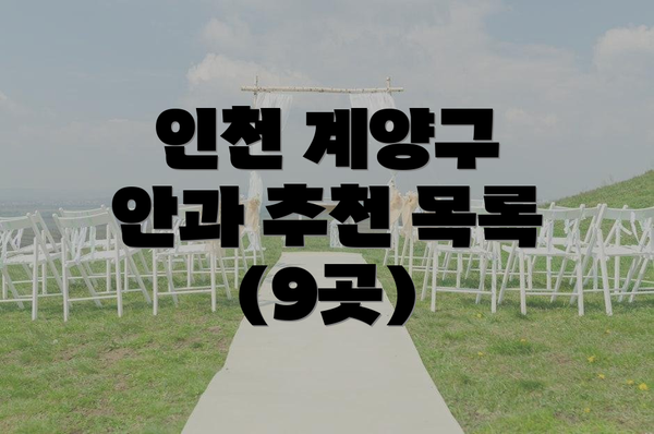 인천 계양구 안과 추천 목록 (9곳)