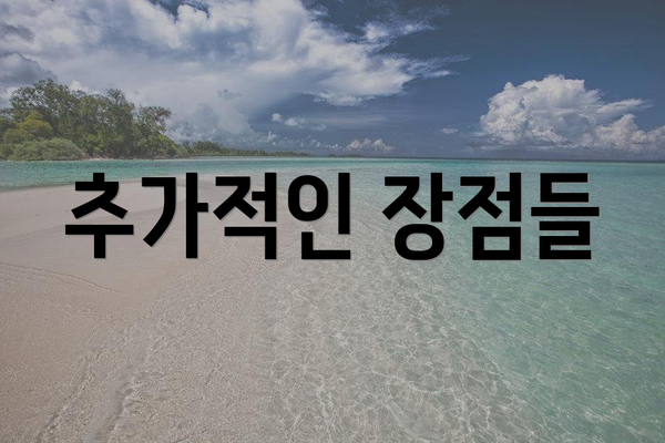 추가적인 장점들