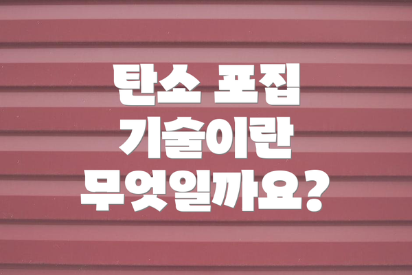 탄소 포집 기술이란 무엇일까요?