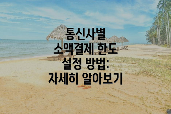 통신사별 소액결제 한도 설정 방법: 자세히 알아보기