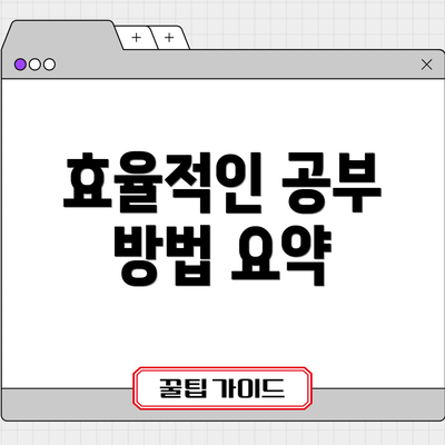 효율적인 공부 방법 요약