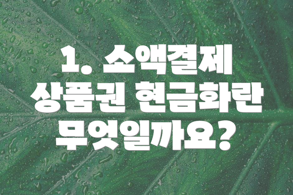 1. 소액결제 상품권 현금화란 무엇일까요?