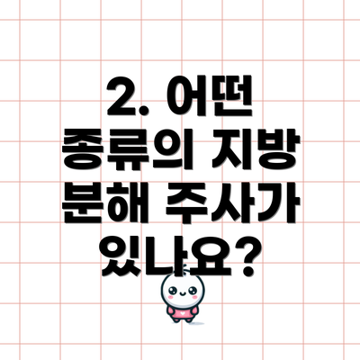 2. 어떤 종류의 지방 분해 주사가 있나요?