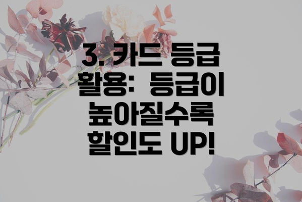 3. 카드 등급 활용:  등급이 높아질수록 할인도 UP!