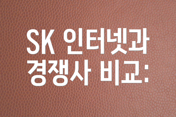 SK 인터넷과 경쟁사 비교:
