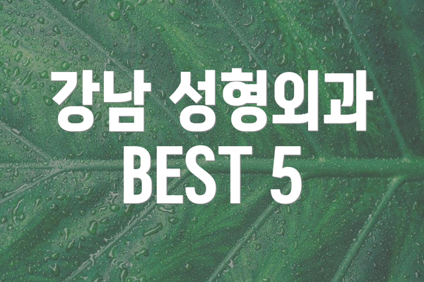강남 성형외과 BEST 5