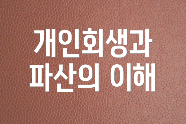 개인회생과 파산의 이해