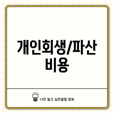 개인회생/파산 비용