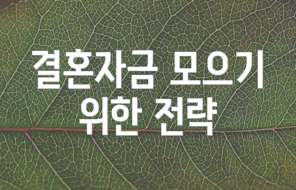 결혼자금 모으기 위한 전략
