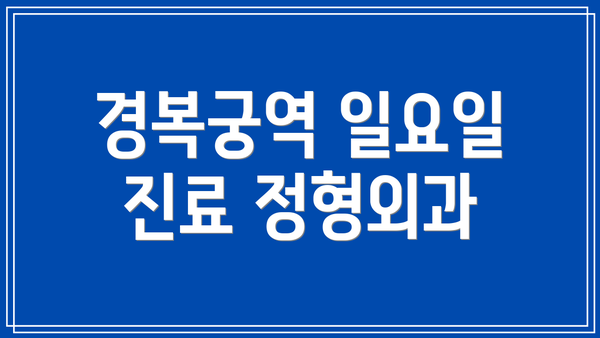 경복궁역 일요일 진료 정형외과