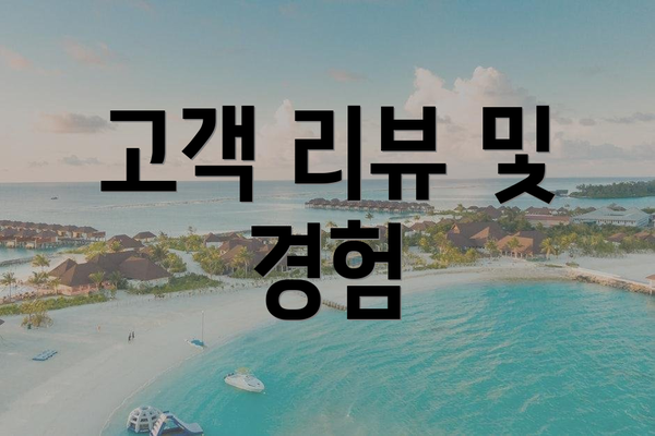 고객 리뷰 및 경험