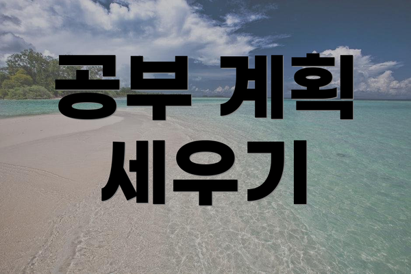 공부 계획 세우기