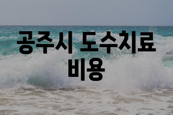 공주시 도수치료 비용