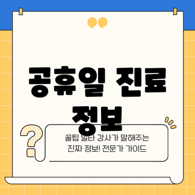 공휴일 진료 정보