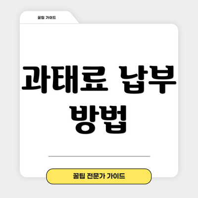 과태료 납부 방법