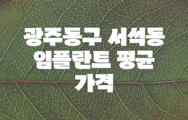 광주동구 서석동 임플란트 평균 가격