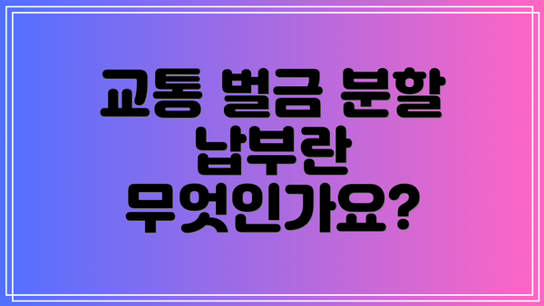 교통 벌금 분할 납부란 무엇인가요?