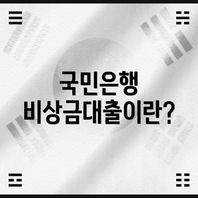 국민은행 비상금대출이란?
