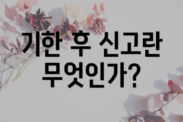 기한 후 신고란 무엇인가?