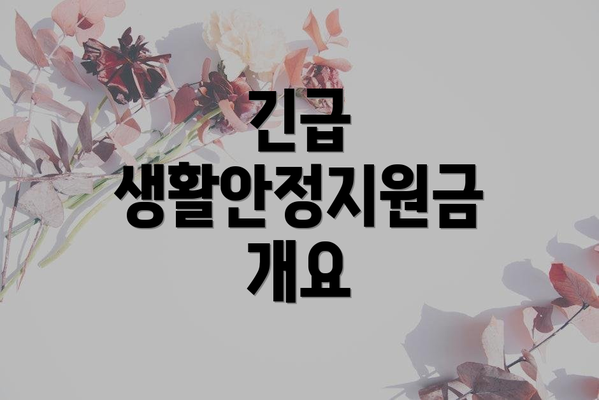 긴급 생활안정지원금 개요