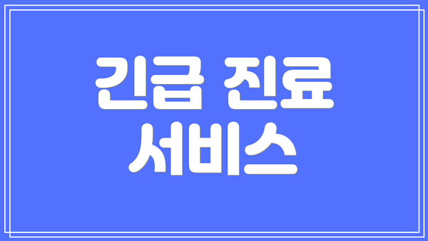 긴급 진료 서비스