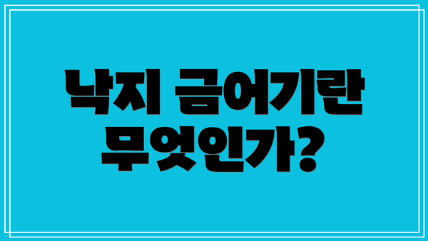 낙지 금어기란 무엇인가?
